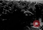 Image sud-vietnamiens soldats patrouillent village Vietnam, 1970, de la seconde 61 séquences d'archives historiques vidéo 65675042355