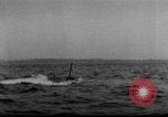 Image of German U-Boat sinks British ship Atlantic Ocean, 1917, second 47 stock footage video 65675042366