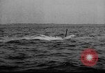 Image of German U-Boat sinks British ship Atlantic Ocean, 1917, second 49 stock footage video 65675042366