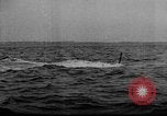 Image of German U-Boat sinks British ship Atlantic Ocean, 1917, second 50 stock footage video 65675042366