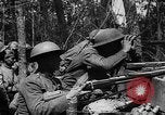 Image of American Expeditionary Forces France, 1918, second 36 stock footage video 65675042372