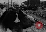 Image of French refugees France, 1918, second 50 stock footage video 65675042373