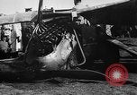 Image of German observation plane crashed in France France, 1917, second 52 stock footage video 65675042389