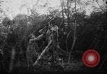 Image of German aircraft downed World War 1 with captured pilot France, 1918, second 39 stock footage video 65675042391