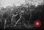 Image of German aircraft downed World War 1 with captured pilot France, 1918, second 40 stock footage video 65675042391