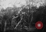 Image of German aircraft downed World War 1 with captured pilot France, 1918, second 41 stock footage video 65675042391