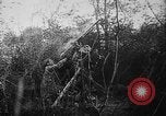 Image of German aircraft downed World War 1 with captured pilot France, 1918, second 42 stock footage video 65675042391