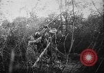 Image of German aircraft downed World War 1 with captured pilot France, 1918, second 44 stock footage video 65675042391