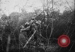 Image of German aircraft downed World War 1 with captured pilot France, 1918, second 45 stock footage video 65675042391