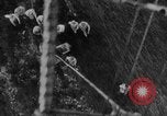 Standbild Luft Ballon Frankreich, 1918, aus Sekunde 22 historischem Filmmaterial Videoclip 65675042408