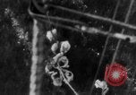 Standbild Luft Ballon Frankreich, 1918, aus Sekunde 58 historischem Filmmaterial Videoclip 65675042408