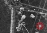 Standbild Luft Ballon Frankreich, 1918, aus Sekunde 60 historischem Filmmaterial Videoclip 65675042408