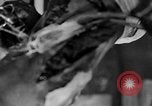 Image of leg surgery on wounded soldier France, 1918, second 24 stock footage video 65675042425