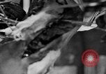 Image of leg surgery on wounded soldier France, 1918, second 26 stock footage video 65675042425