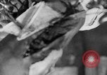 Image of leg surgery on wounded soldier France, 1918, second 29 stock footage video 65675042425