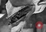 Image of leg surgery on wounded soldier France, 1918, second 32 stock footage video 65675042425