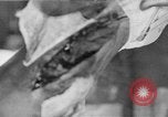 Image of leg surgery on wounded soldier France, 1918, second 33 stock footage video 65675042425