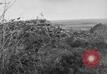 Image of Allied soldiers France, 1918, second 20 stock footage video 65675042431