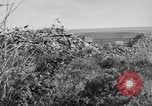 Image of Allied soldiers France, 1918, second 37 stock footage video 65675042431