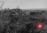 Image of Allied soldiers France, 1918, second 45 stock footage video 65675042431