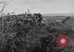 Image of Allied soldiers France, 1918, second 54 stock footage video 65675042431