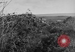 Image of Allied soldiers France, 1918, second 61 stock footage video 65675042431