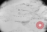 Image of United States Capitol Washington DC USA, 1917, second 9 stock footage video 65675042434