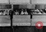 Image of US Army recruiting in World War I Washington DC USA, 1917, second 6 stock footage video 65675042435
