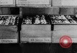 Image of US Army recruiting in World War I Washington DC USA, 1917, second 11 stock footage video 65675042435