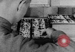 Image of US Army recruiting in World War I Washington DC USA, 1917, second 13 stock footage video 65675042435