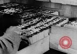 Image of US Army recruiting in World War I Washington DC USA, 1917, second 14 stock footage video 65675042435