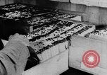 Image of US Army recruiting in World War I Washington DC USA, 1917, second 15 stock footage video 65675042435