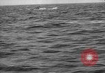 Image of French warships France, 1918, second 46 stock footage video 65675042456