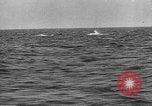 Image of French warships France, 1918, second 54 stock footage video 65675042456
