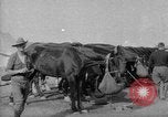 Image of Australian Light Horse Infantry Regiment Australia, 1916, second 54 stock footage video 65675042459