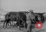 Image of Australian Light Horse Infantry Regiment Australia, 1916, second 56 stock footage video 65675042459