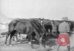 Image of Australian Light Horse Infantry Regiment Australia, 1916, second 57 stock footage video 65675042459
