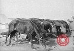 Image of Australian Light Horse Infantry Regiment Australia, 1916, second 58 stock footage video 65675042459