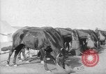 Image of Australian Light Horse Infantry Regiment Australia, 1916, second 59 stock footage video 65675042459