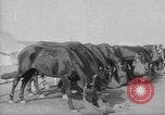 Image of Australian Light Horse Infantry Regiment Australia, 1916, second 60 stock footage video 65675042459