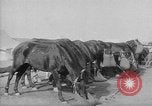 Image of Australian Light Horse Infantry Regiment Australia, 1916, second 61 stock footage video 65675042459