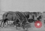 Image of Australian Light Horse Infantry Regiment Australia, 1916, second 62 stock footage video 65675042459