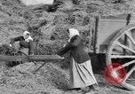 Image of French women tend farms in World War I France, 1917, second 6 stock footage video 65675042483