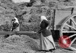 Image of French women tend farms in World War I France, 1917, second 8 stock footage video 65675042483