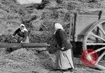 Image of French women tend farms in World War I France, 1917, second 9 stock footage video 65675042483