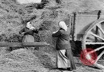 Image of French women tend farms in World War I France, 1917, second 10 stock footage video 65675042483