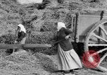 Image of French women tend farms in World War I France, 1917, second 11 stock footage video 65675042483
