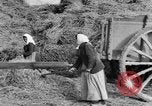 Image of French women tend farms in World War I France, 1917, second 12 stock footage video 65675042483