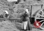 Image of French women tend farms in World War I France, 1917, second 13 stock footage video 65675042483