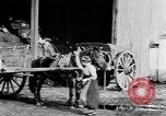 Image of French women tend farms in World War I France, 1917, second 14 stock footage video 65675042483